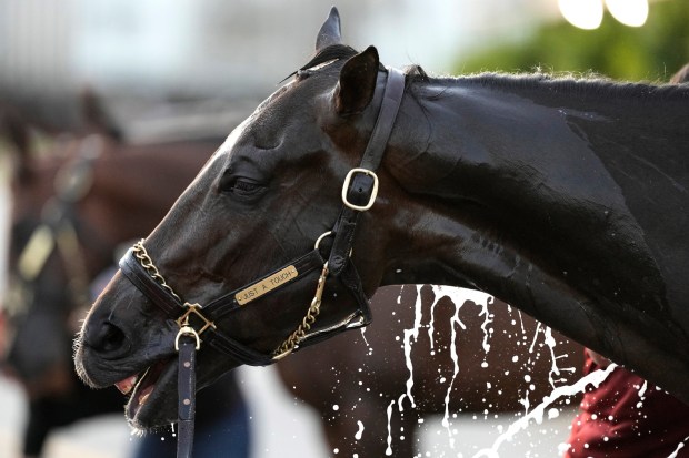 Kentucky Derby hopeful Just a Touch gets a bath after a workout at Churchill Downs Monday, April 29, 2024, in Louisville, Ky. The 150th running of the Kentucky Derby is scheduled for Saturday, May 4. (AP Photo/Charlie Riedel)