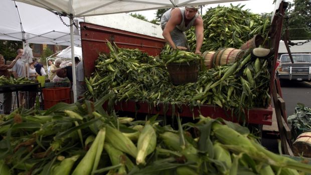 Peter Fitzer of the Kendall Co. Farm unloads sweet corn from the trailer for people to buy at the Farmer's Market on Oak Park. The Oak Park Farmers' Market will host its annual corn roast on Aug. 11.