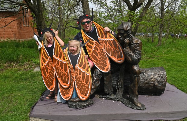 On far right, it could be said Robert Kennicott, explorer and naturalist (circa 1860), interpreted in cast silicon bronze by sculptor Erik Blome, is being a good sport posing with the Ransom family of Glenview for a cicada wing photo opportunity. From left are the Ransom siblings, Amelia, 6, a kindergartner and Juliet, 3, with their father Matthew Ransom at the Cicada Celebration and Exhibit Grand Opening event in Glenview on May 4, 2024 at The Grove National Historic Landmark (Karie Angell Luc/Pioneer Press)