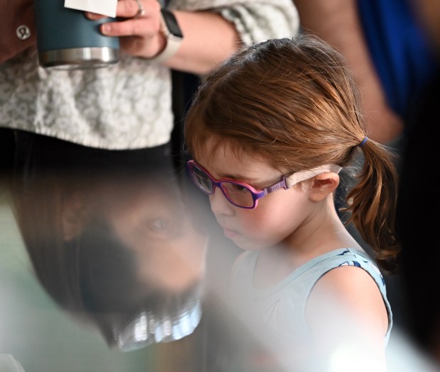 Reflection. From left, Allison Kubasiak of Glenview checks out glass exhibit tables with daughter Evelyn, 4, inside the Archives Building at the Cicada Celebration and Exhibit Grand Opening event on May 4, 2024 at The Grove National Historic Landmark (Karie Angell Luc/Pioneer Press)