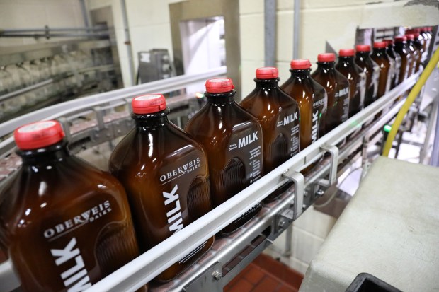 Amber glass bottles of milk roll through the bottling assembly line at the Oberweis Dairy facility in North Aurora, on March 1, 2017. Oberweis Dairy changed their glass milk bottles displayed in grocery stores to amber glass. (Antonio Perez/ Chicago Tribune)