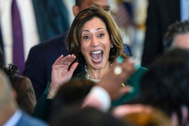 Vice President Kamala Harris waves to the crowd during an event at Discovery World in Milwaukee on May 16, 2024. Following this visit, Harris appeared at a fundraiser in Glencoe. (Morry Gash/AP)