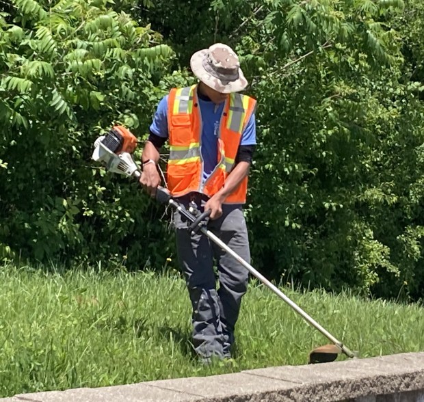 A summer intern removes weeds along a Waukegan street. (Steve Sadin/Lake County News-Sun)