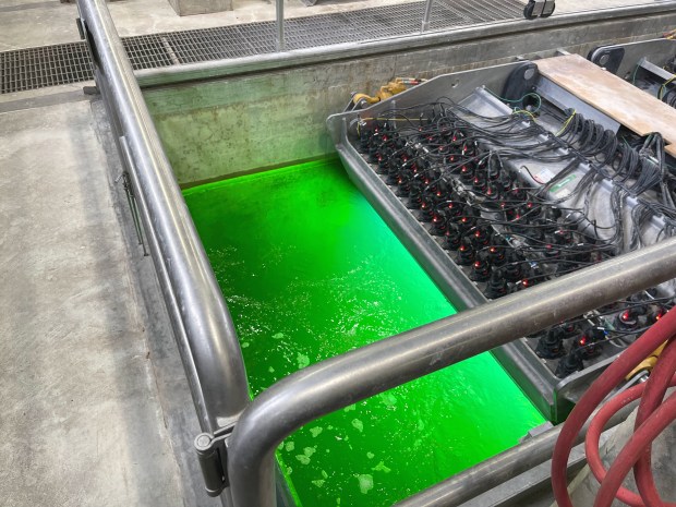 The last phase of water treatment at the O'Brien Reclamation Plant has ultraviolet lights eliminate microbes from the water before being released to the North Shore Channel. The Metropolitan Water Reclamation District held an Open House on April 4 for Chicago Water Week. Credit: Richard Requena