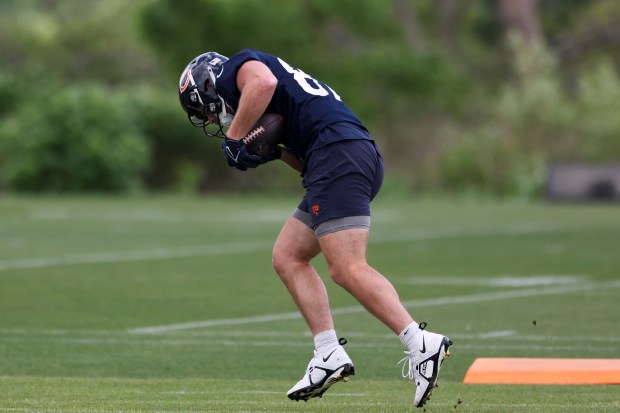 Chicago Bears tight end Brenden Bates (87) catches a pass during minicamp at Halas Hall in Lake Forest on June 5, 2024. (Eileen T. Meslar/Chicago Tribune)