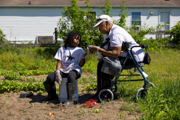 Stormie Reign McDonald shows a small onion to her grandmother, Diane McDonald, as they work in one of the gardens on their farm in Pembroke Township on May 22, 2024. (Eileen T. Meslar/Chicago Tribune)