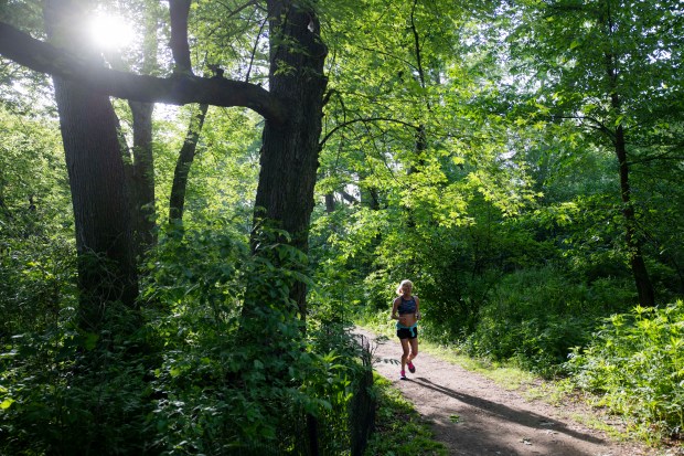 A jogger runs through Jarvis Bird Sanctuary, which is considered to have a 38% impervious cover and is not gentrified according to research by Mason Fidino at Lincoln Park Zoo, on May 24, 2024, in Chicago. (Vincent Alban/Chicago Tribune)