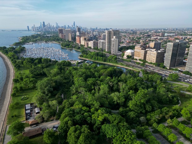 An aerial view of Jarvis Bird Sanctuary, which is considered to have a 38% impervious cover and is not gentrified according to research by Mason Fidino at Lincoln Park Zoo, on Friday, May 24, 2024, in Chicago. (Vincent Alban/Chicago Tribune)