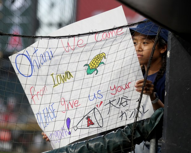 A Shohei Ohtani fan hopes to snag an autograph prior to a game between the Los Angeles Angels and the Chicago White Sox at Guaranteed Rate Field in Chicago on Wednesday, Sept. 15, 2021. (Chris Sweda/Chicago Tribune)