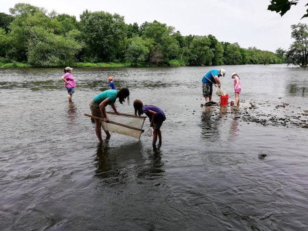 Volunteers are being sought for the Aug. 12 Rusty Rodeo, during which participants will remove invasive rusty crayfish from two waterways in Kane County.