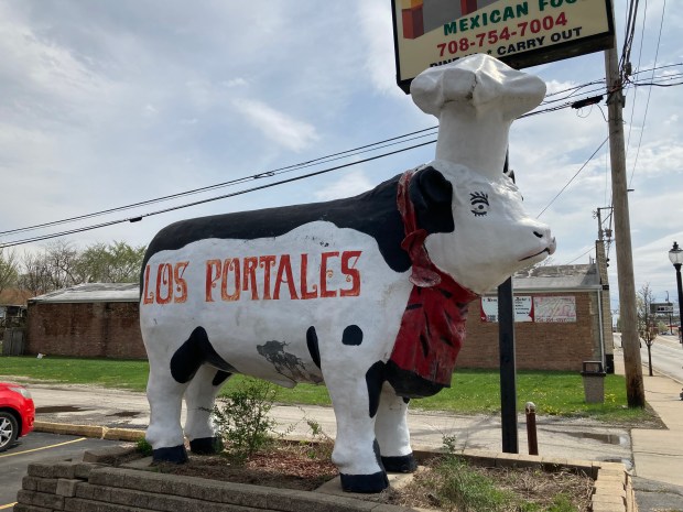 A giant fiberglass cow stands outside Los Portales restaurant on Chicago Road in Chicago Heights. Once perched atop the restaurant, the cow has been a Dixie Highway landmark for decades. (Paul Eisenberg/Daily Southtown)