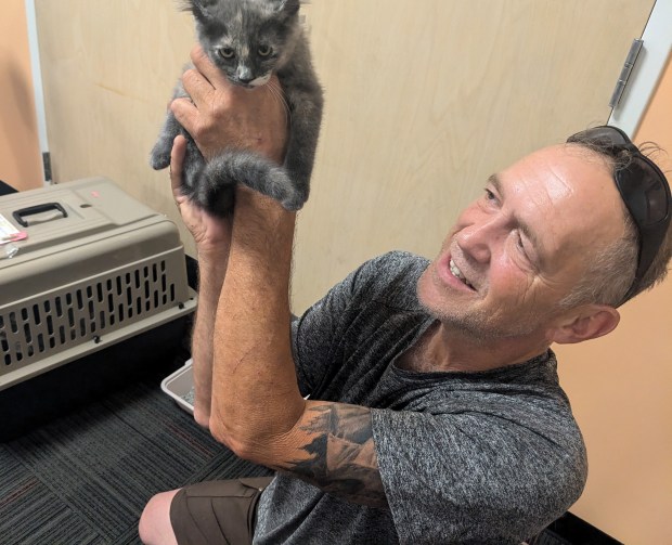 Danny Burch, of Blue Island, a volunteer with NAWS animal shelter, holds one of seven 12-week-old kittens he and his wife, Elaine, brought to a recent kitten yoga session at Midlothian Public Library. (Janice Neumann/Daily Southtown)