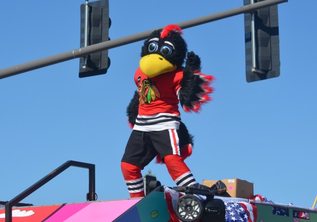 Blackhawks mascot Tommy Hawk maneuvers by traffic lights atop his float June 29, 2024, as he entertains the parade crowd in Oak Lawn. (Jeff Vorva/for the Daily Southtown)