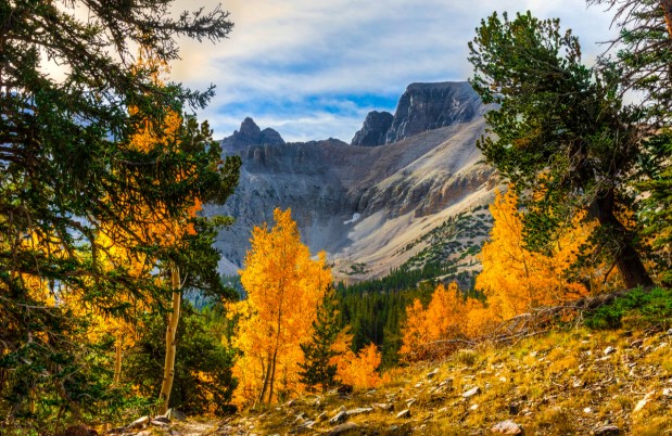 Great Basin National Park might just challenge your conception of the state of Nevada: It's not all desert.