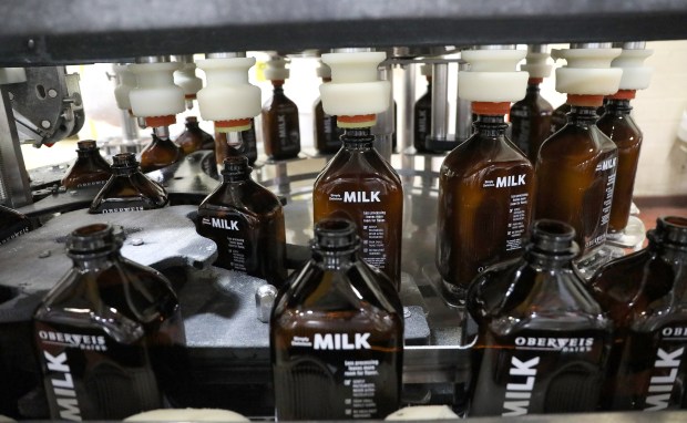 Amber glass bottles of milk roll through the bottling assembly line at the Oberweis Dairy facility in North Aurora, on March 1, 2017. (Antonio Perez/ Chicago Tribune)