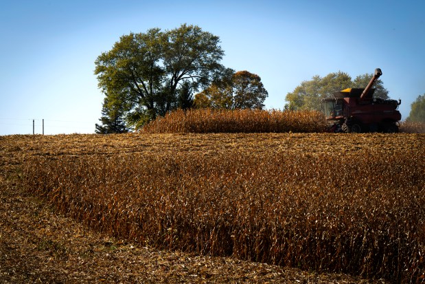 Corn harvest on the Hess family farm farm in Bushnell, Oct. 16, 2023. Steve Hess is opposed to a proposed CO2 pipeline that would run through his farmland. (E. Jason Wambsgans/Chicago Tribune)