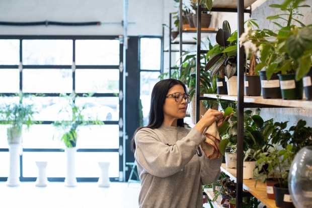 Angelica Varela and Miguel Rivera, not pictured, run Semillas Plant Studio in Pilsen that does everything from dried floral arrangements to weddings and events. (E. Jason Wambsgans/Chicago Tribune)