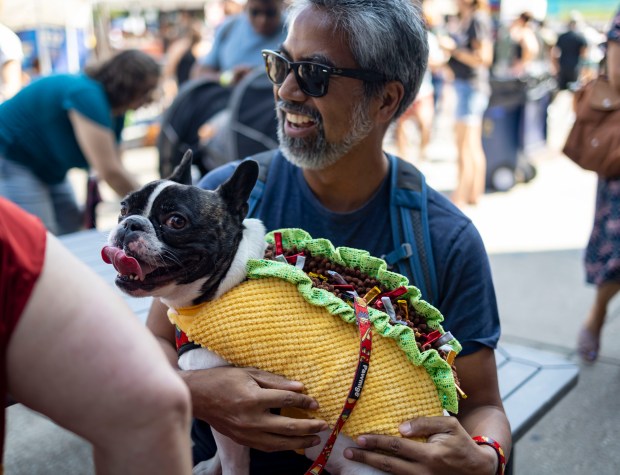 Joe Munsayac holds his dog Finn, dressed for the occasion, during Taco Fest on North Southport Avenue in Lakeview on Aug. 27, 2023. (Brian Cassella/Chicago Tribune)
