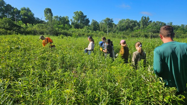 Volunteers head out Saturday morning to work as part of a restoration project at a prairie near Saw Wee Kee Park between Oswego and Yorkville. (David Sharos / For The Beacon-News)