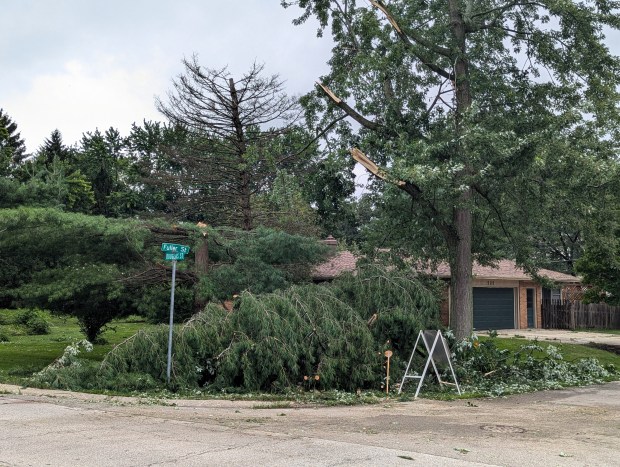 At the corner of Fuller and Douglas streets in Oswego, Monday night's storm took the tops off of trees and knocked the limbs off of others. (R. Christian Smith / The Beacon-News)