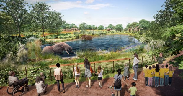 Brookfield Zoo Chicago's Next Century Plan will transform half of its 235 acre campus in west suburban Brookfield, including by adding new ecoregions. Gateway to Africa will be 35 acres in totals, including a multi-species habitat with 12.5 acresfor elephants and other species. (Brookfield Zoo Chicago rendering)