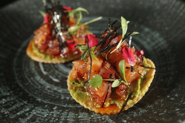 Sake maguro tostadas are shown at Casa Madai, 2023 S. Racine Ave. on July 5, 2024, in Chicago. (John J. Kim/Chicago Tribune)