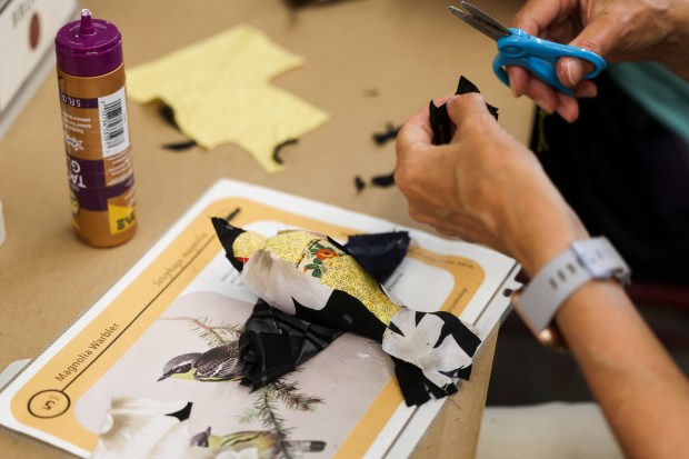 Nancy Pinchar makes a fabric bird during a bird-making workshop for Bird Collisions in the Anthropocene at the Evanston Public Library on July 15, 2024. (Eileen T. Meslar/Chicago Tribune)