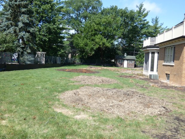 Trees on the vacant lot adjacent to 292 Arlington have been cleared as of July 16. (Graydon Megan for the Pioneer Press)