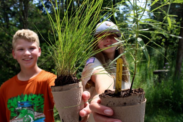 17-year-old Eagle Scout Alessandra Griffin of Winnetka volunteered to be an eco-partner for Green Bay Trail Day, growing seven different native plant pollinator species, to be distributed along with growing instructions by members Eagle Scout Troop 20, pictured here. (Gina Grillo/Pioneer Press)