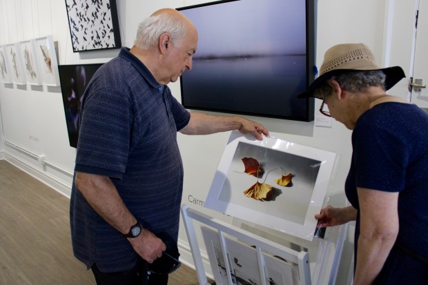 Rich and Marie Jones of Wilmette peruse artworks at the new Patrician Gallery & Gatherings during the Wilmette Sidewalk Sale. (Gina Grillo/Pioneer Press)