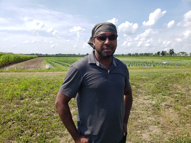 Deshawn Willingham, owner of Chicago Urban Farm Solutions, at his farm site in Lynwood. (Francine Knowles/for the Daily Southtown)