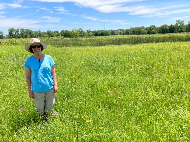 Ecologist Julianne Mason, restoration program coordinator with the Forest Preserve District of Will County, stands July 2, 2024, amid the rare plants growing at Lockport Prairie Nature Preserve. The preserve's ecosystem is "globally rare" because of its shallow soil layer over dolomite limestone bedrock. (Paul Eisenberg/Daily Southtown)