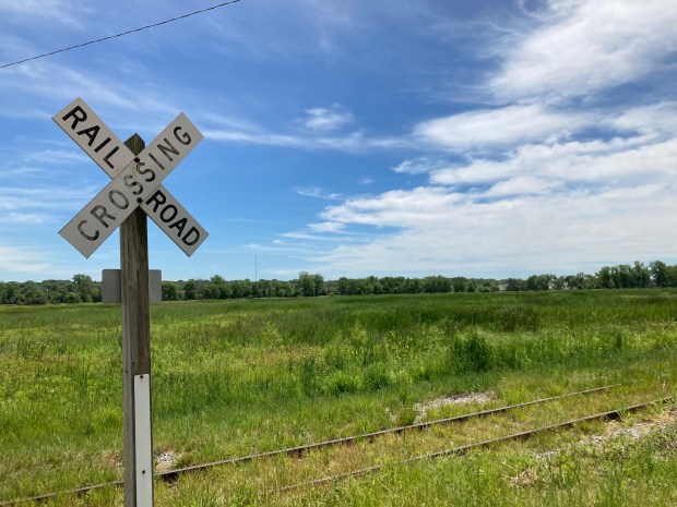 A seldom-used rail line lines the western edge of Lockport Prairie Nature Preserve July 2, 2024. In the distance, the Chicago Sanitary and Ship Canal rises above the preserve's eastern boundary. (Paul Eisenberg/Daily Southtown)