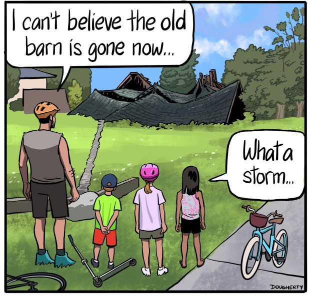 A panel from this week's "Beardo" comic strip by Mokena resident Dan Dougherty features the remains of the Erickson/Benson farm barn on Schoolhouse Road, which was destroyed in a July 15 storm. (Dan Dougherty)