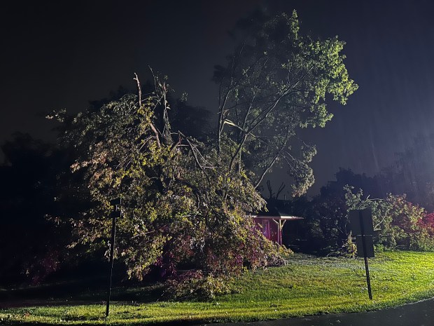 Damaging winds, heavy rainfall and tornadic activity in and near Manhattan, Illinois, July 15, 2024, toppled trees damaging vehicles and at least three houses in Manhattan Township. (Manhattan Fire Protection District)