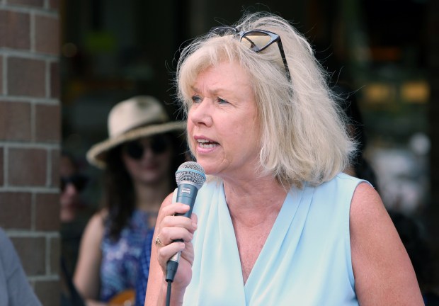 State Sen. Julie Morrison speaks during an event July 13, 2019, in Highland Park.