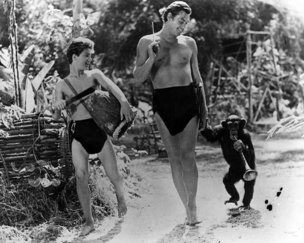 Actor and Olympic swimmer Johnny Weissmuller, as Tarzan, walks with Johnny Sheffield, as Boy, and the chimpanzee, Cheetah. (Keystone Features/Getty)