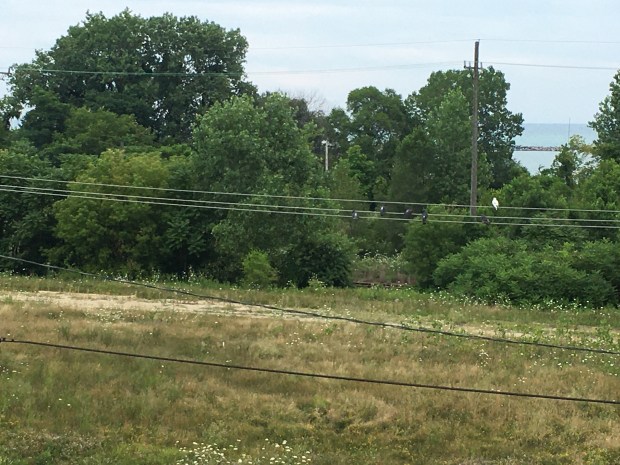 Former industrial sites like these may become homes near Lake Michigan for Waukegan residents. (Steve Sadin/For the Lake County News-Sun)