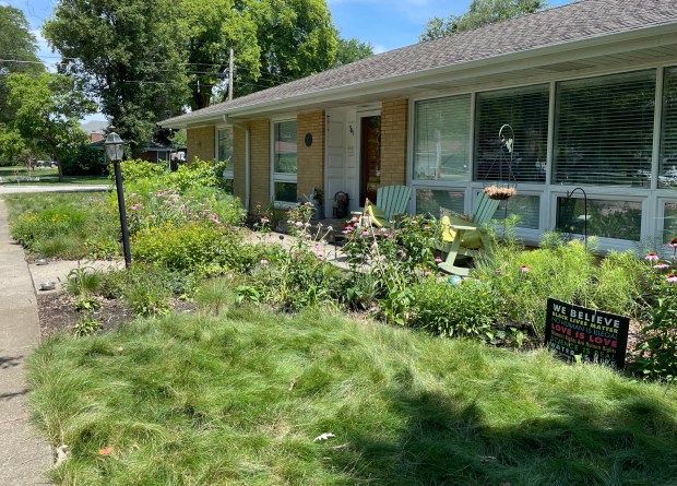 The Sirvinskas home, 541 Parkwood Ave., which has a front yard planted with no mow grass, was featured in the first-ever Sustainable Yards Walk in Park Ridge. (Phil Rockrohr/for Pioneer Press)