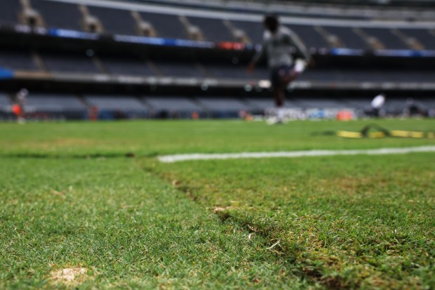 Seams are visible on the grass before a preseason game between the Bears and Bengals at Soldier Field on Aug. 17, 2024, in Chicago. (John J. Kim/Chicago Tribune)