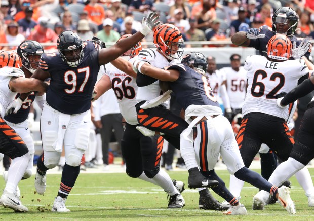 Bears defensive tackle Andrew Billings (97) reaches as cornerback Kyler Gordon sacks Bengals quarterback Logan Woodside in the first quarter of a preseason game at Soldier Field on Aug. 17, 2024. (John J. Kim/Chicago Tribune)