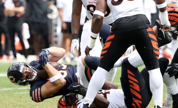 Bears tight end Cole Kmet (85) is tackled after a reception in the first quarter against the Bengals in a preseason game at Soldier Field on Aug. 17, 2024, in Chicago. (John J. Kim/Chicago Tribune)