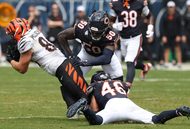 Bears defensive end Carl Jones Jr. (50) and cornerback Reddy Steward (46) tackle Bengals tight end Tanner McLachlan (84) in the fourth quarter of a preseason game at Soldier Field on Aug. 17, 2024, in Chicago. (John J. Kim/Chicago Tribune)