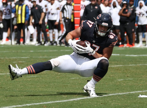 Bears tight end Brenden Bates makes a reception in a preseason game against the Bengals on Aug. 17, 2024, at Soldier Field. (John J. Kim/Chicago Tribune)