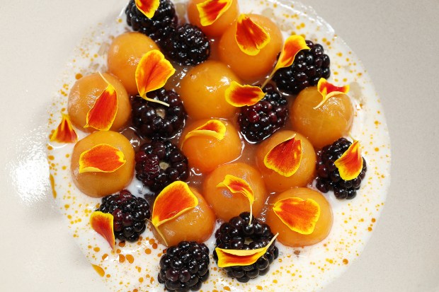 The summer tomato salad made with whole peeled Sungolds and blackberries in ice-cold yuzu buttermilk at John's Food and Wine. (Terrence Antonio James/Chicago Tribune)