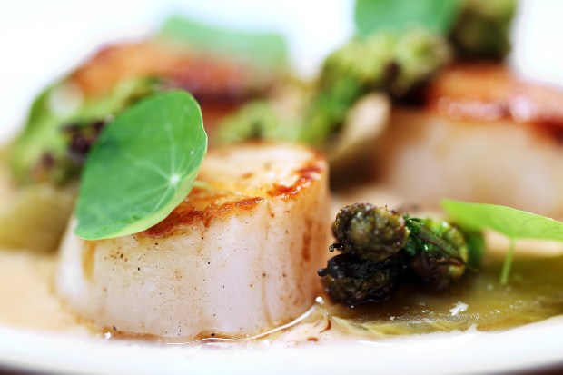 The Hokkaido scallops with caramelized romanesco broccoli and softened celtuce at John's Food and Wine. (Terrence Antonio James/Chicago Tribune)