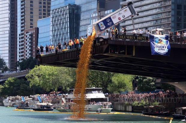 The 2024 Chicago Ducky Derby begins as rubber ducks are released onto the Chicago River at the Columbus Drive Bridge in Chicago on Aug. 7, 2024. (Terrence Antonio James/Chicago Tribune)