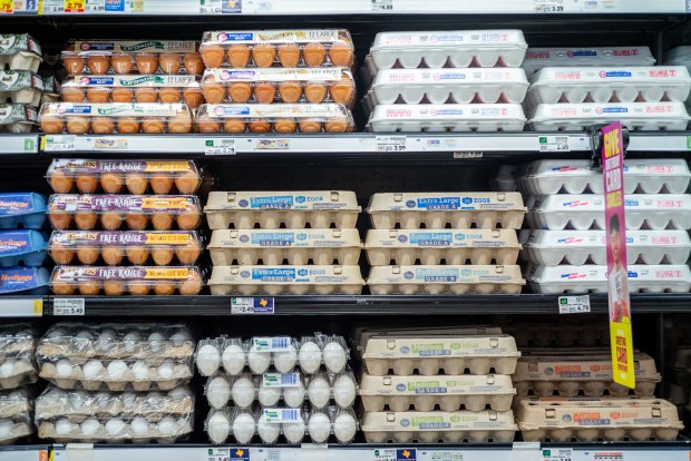 Cartons of eggs at a Kroger grocery store on Aug. 15, 2022, in Houston. (Brandon Bell/Getty)