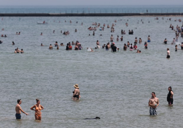 People cool off in the Lake Michigan at Montrose Beach on June 29, 2024. (Chris Sweda/Chicago Tribune)