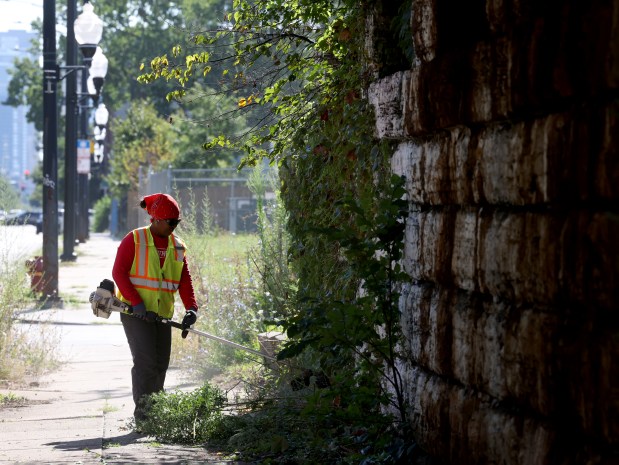 Recent CPS graduates working as general labor trainees with the Streets and Sanitation, along with Streets and Sanitation workers clear away large overgrown weeds as they clean up along Madison near Talman Avenue, blocks from United Center, Friday, Aug. 9, 2024, ahead of the upcoming Democratic National Convention. (Antonio Perez/Chicago Tribune)